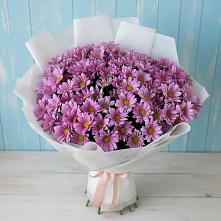 Букет цветов из:  Хризантемы #REPLACE_PRED# Осеченки