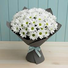 Букет цветов из:  Хризантемы #REPLACE_PRED# Осеченки